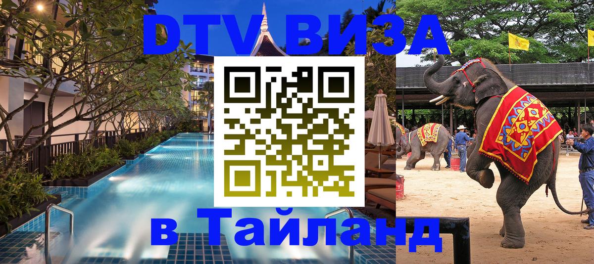 Сколько стоит DTV виза — актуальные цены, оформление даже без документов - 